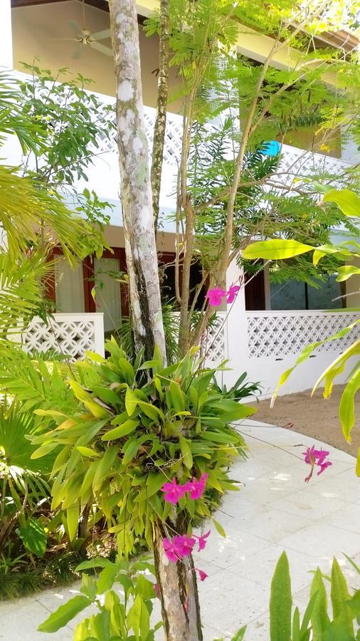 Idle Awhile Beach Hotel Negril Exterior foto